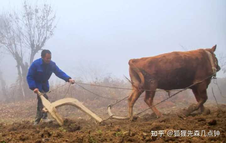 中国古代农业发展的特点及原因是什么? - 知乎