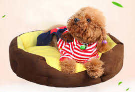 给自己狗子修的别墅