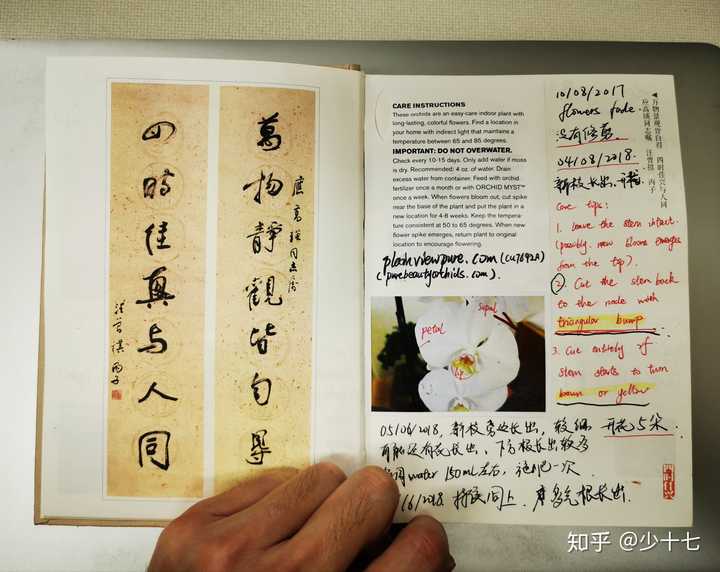 博士第六年还没有发paper 是一种什么样的体验 知乎