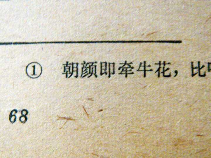 你见过哪些美得不可方物的别称或雅称 知乎