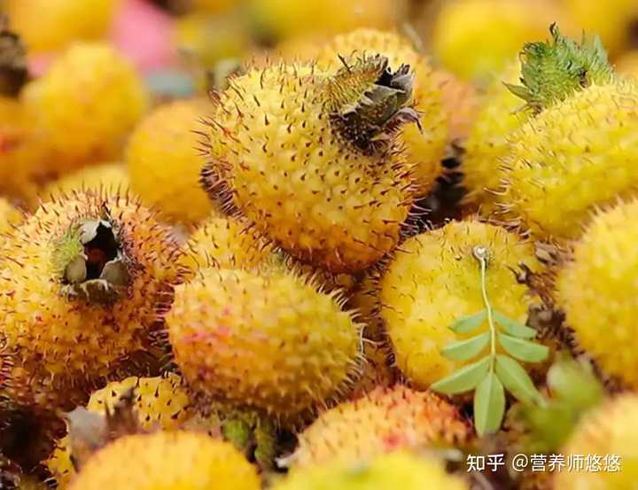 刺梨都有哪些营养和功效？ - 知乎
