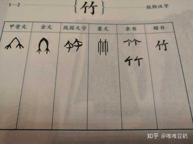 教孩子识字有没有比较有趣的方法 知乎