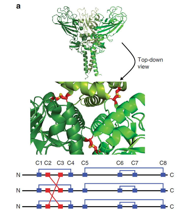 有什么好用的抗衰老的护肤品介绍