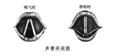 高音可以练出来吗? - 知乎