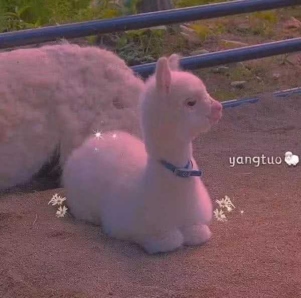 有哪些既高级又简单的网名女