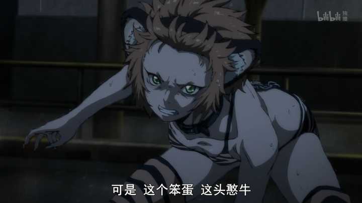 如何评价 十二大战 知乎