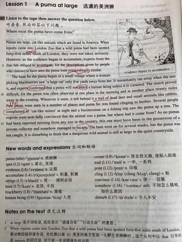 如何最大限度利用新概念英语？