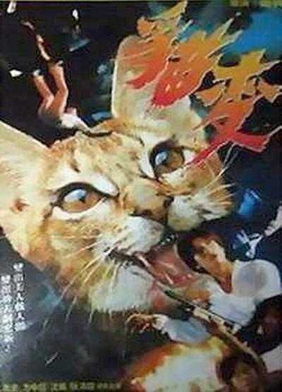 跨物种的追求,狼妖爱上猫妖,根本甩不掉,香港恐怖电影《猫变》鬼哥说