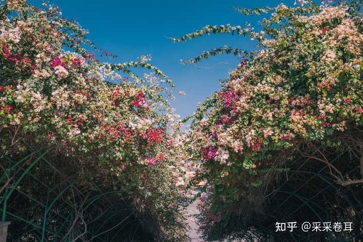 去攀枝花旅游怎样安排合适的路线？ - 知乎