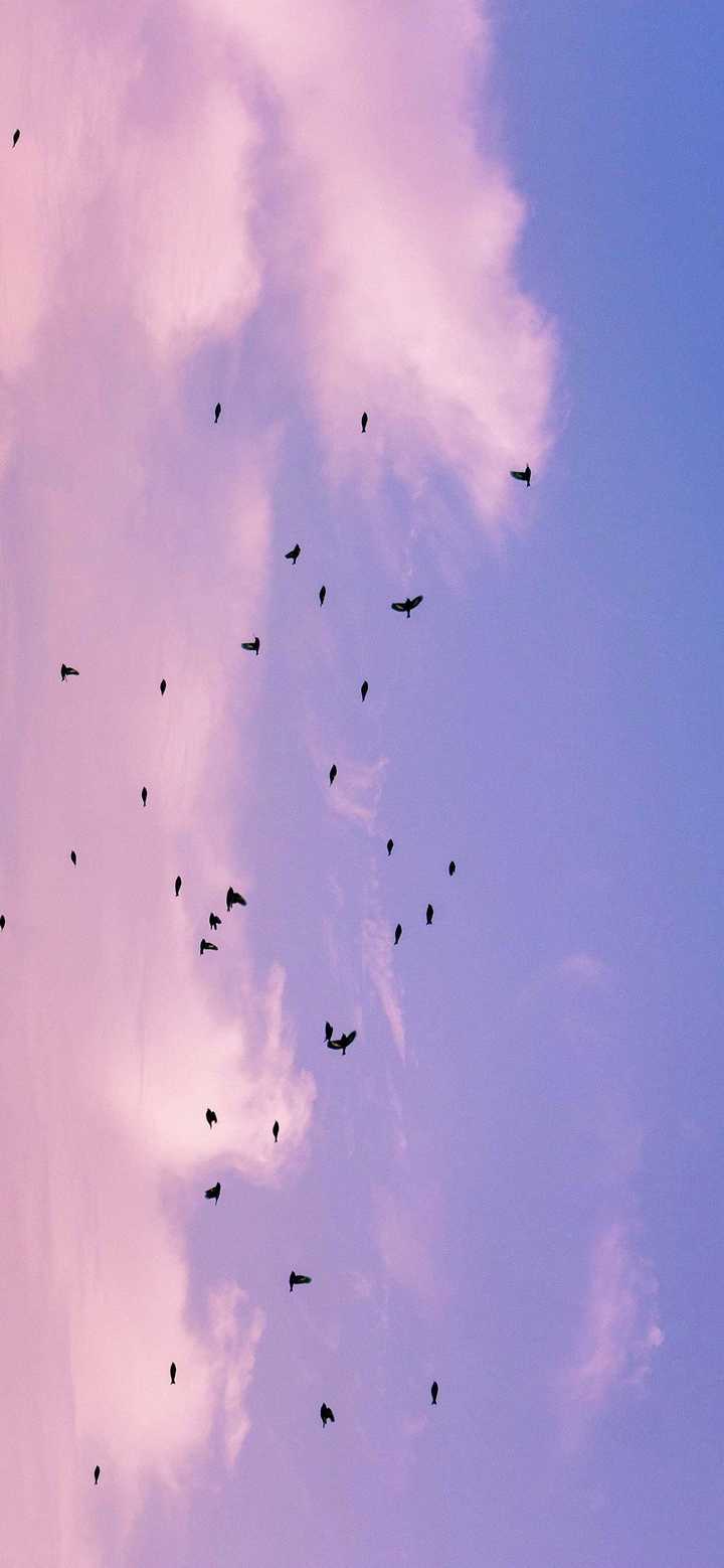 有哪些很温柔的图片？