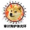 北美审计狗