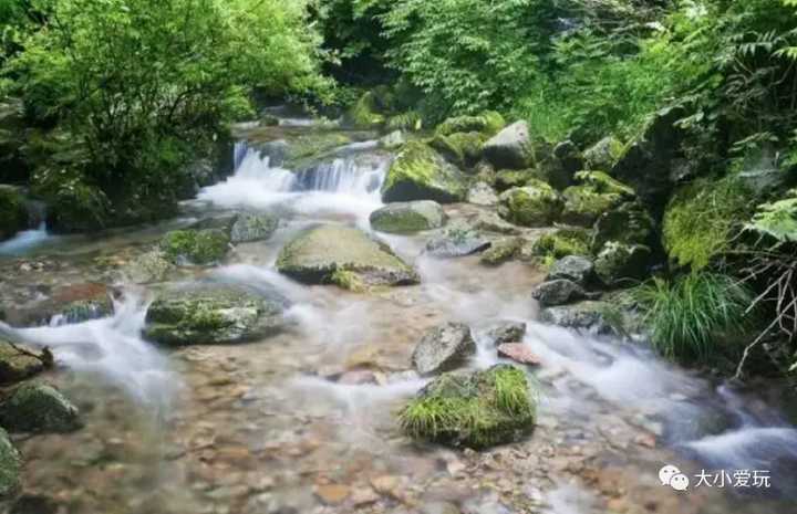 雾灵山山顶住宿电话_雾灵山森林公园_雾灵山国家森林公园门票