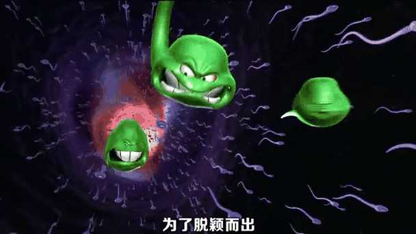 动图封面
