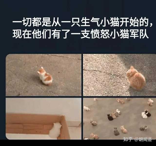 你有什么私藏的MEME图/梗图/迷因图? - 知乎