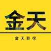 金天影视