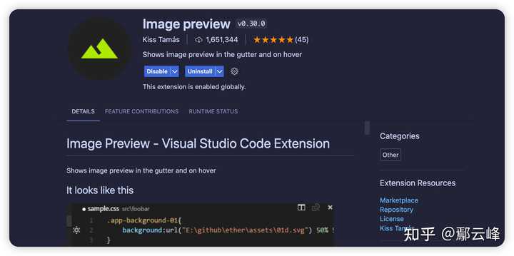 vscode 有导入图片实时预览的插件吗? - 知乎