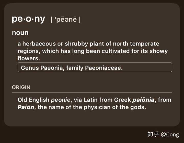 牡丹英语怎么读 牡丹的英文读音 牡丹英语发音怎么读音