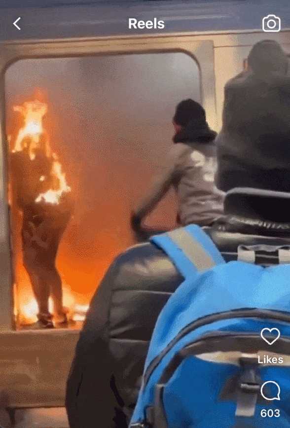 动图封面
