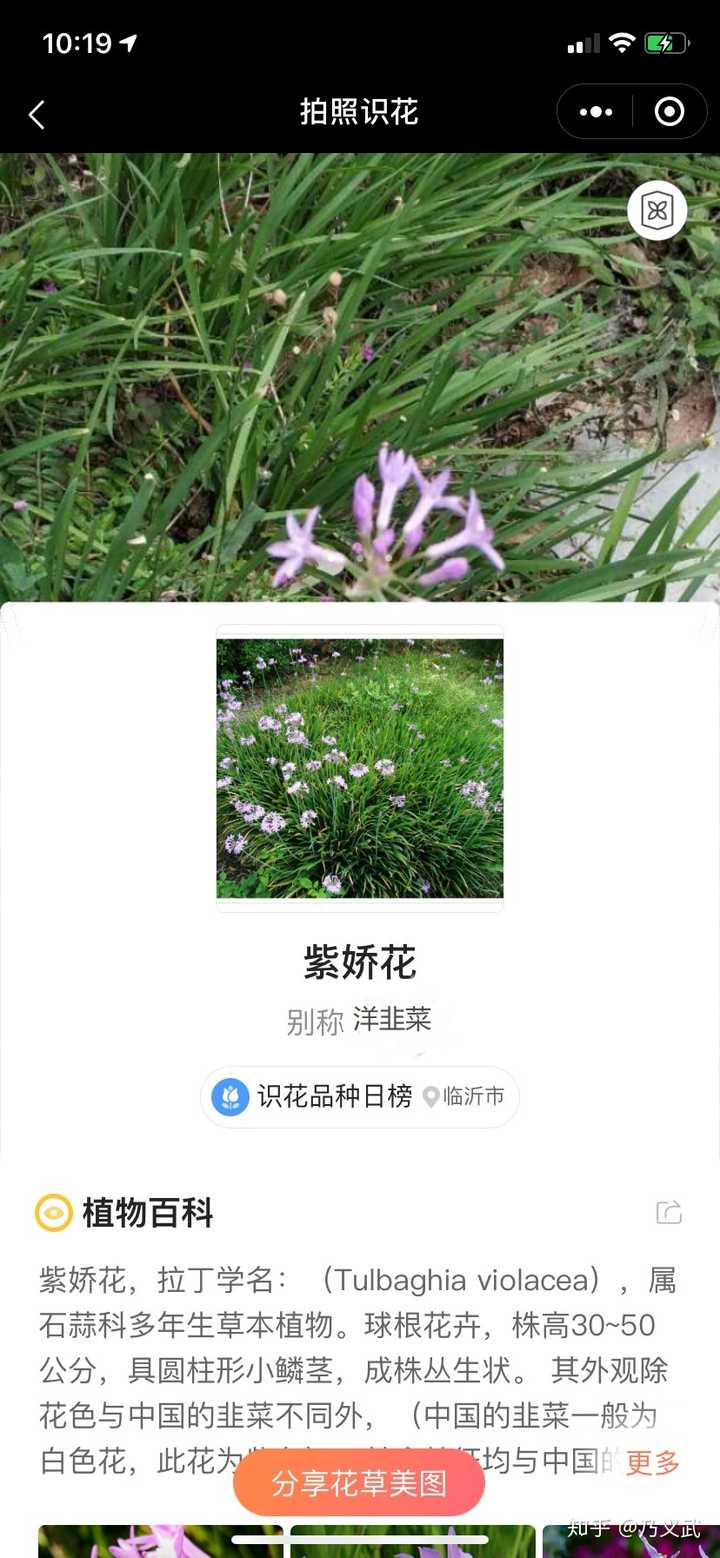 绿化草坪为什么不用韭菜 乃义武的回答 知乎 绿化草坪为什么不用韭菜 乃义武的回答 知乎