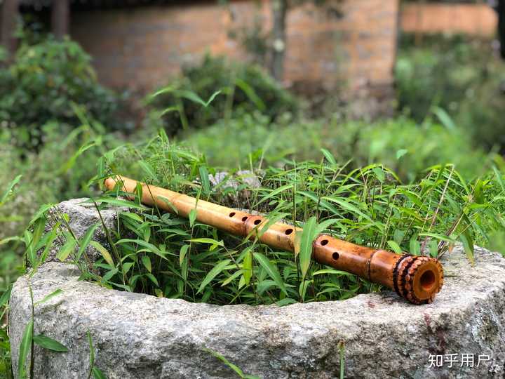 大学生想学箫，学习哪一种箫比较好？ - 知乎