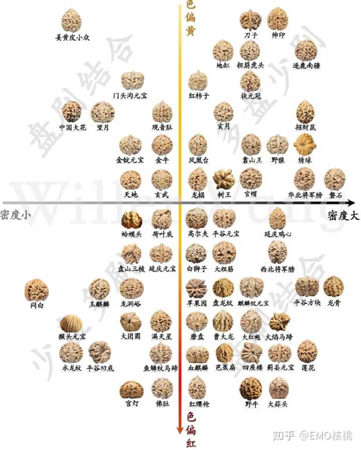文玩核桃有哪些种类呢？ - 知乎