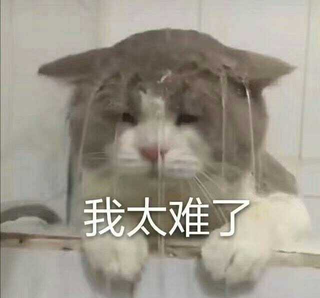 如果你是虐文里的女主你会怎么办 知乎 如果你是虐文里的女主你会怎么办 知乎