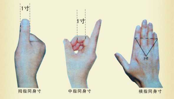 每个人的体型都不同,中医是如何确认穴位的准确位置的? - 知乎