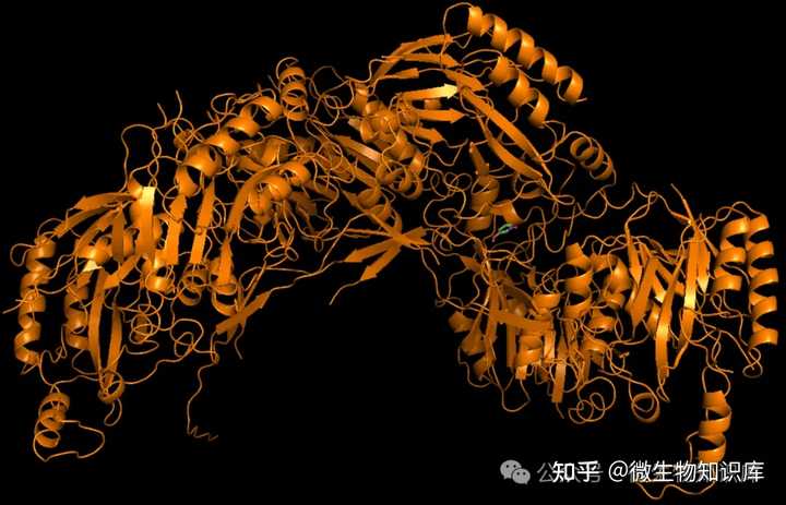 做分子对接用pymol可视化时，小分子化合物和蛋白质之间没有氢键显示是怎么回事啊？ - 知乎