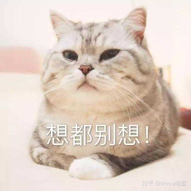 如何防止猫抓沙发 知乎 如何防止猫抓沙发 知乎