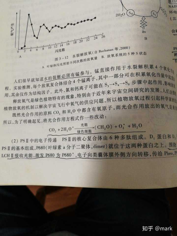 请问为什么光合作用暗反应产生水? - 知乎