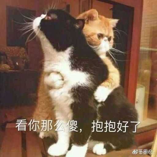 有哪些安慰别人的表情包？ - 知乎