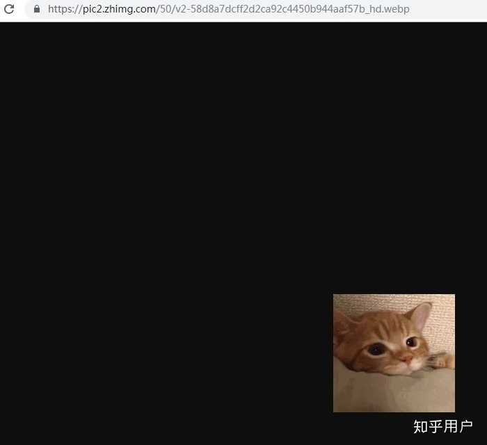 如何将WebP格式转为GIF格式的且保留动态效果？ - 知乎