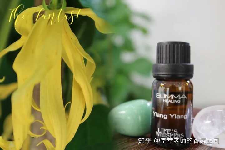 依兰精油有什么作用？ - 知乎
