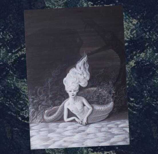 美人鱼究竟是鱼是兽还是人 应归属何类 知乎