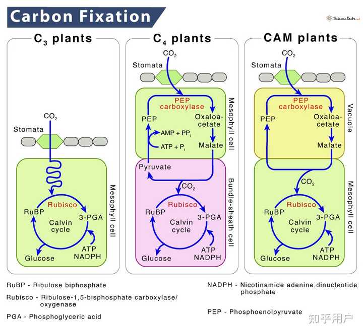 c3-co2-c4