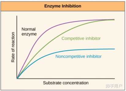 酶的竞争性抑制剂和非竞争性抑制剂有什么区别? - 知乎