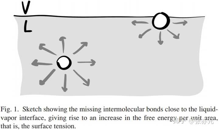 如何理解液体表面张力？ - 张亦元的回答- 知乎