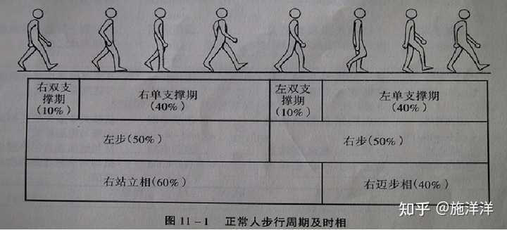 正常人步态分析指标有哪些？ - 知乎
