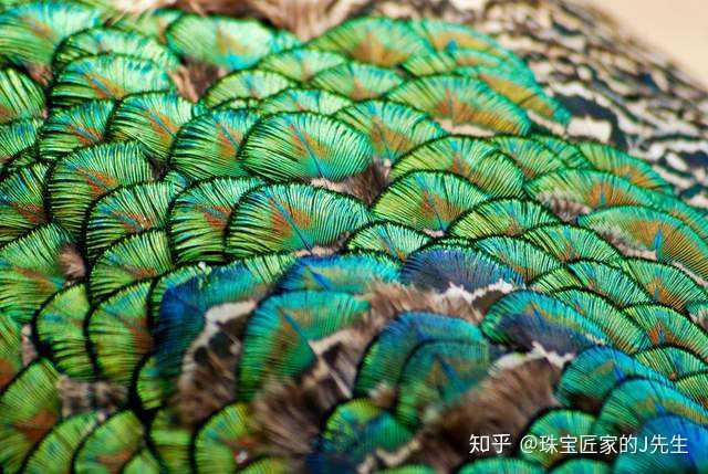 「孔雀石」是什么? - 知乎