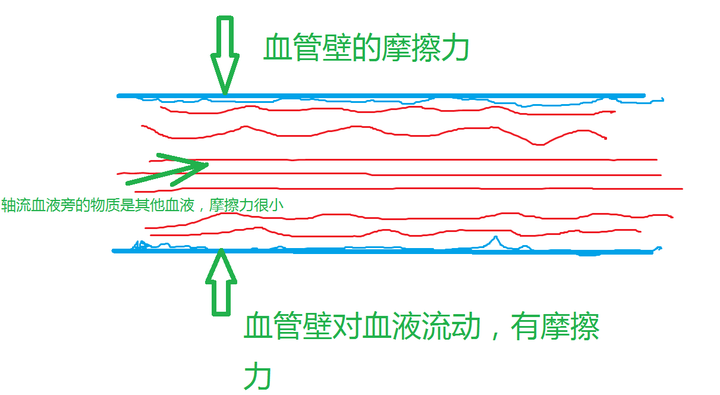 动脉中的血流为什么有轴流、壁流之分? - 知乎