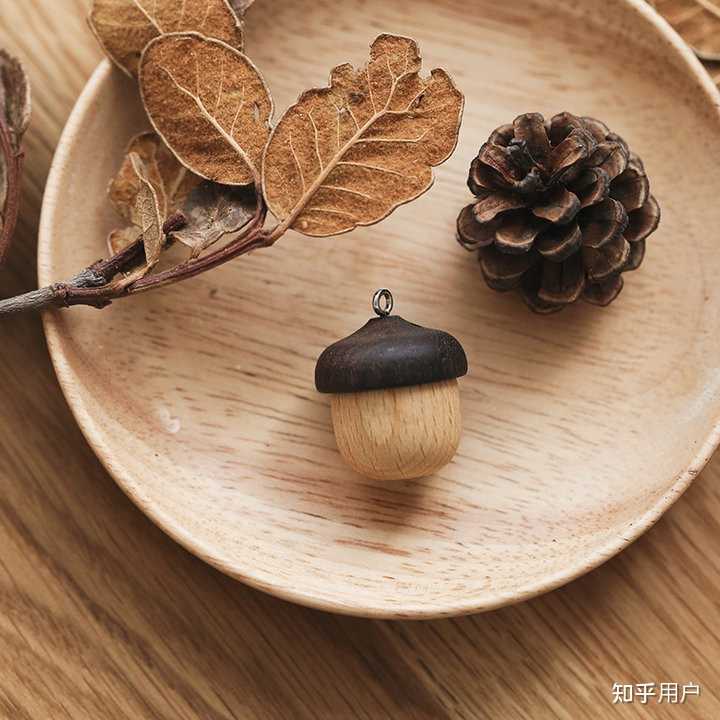 松果和橡果是一个东西吗？ - 知乎