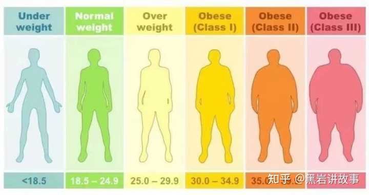 如何解读 BMI 计算法则? - 知乎