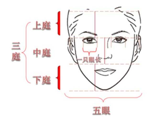 什么样的五官大小和面部比例比较耐老? - 知乎