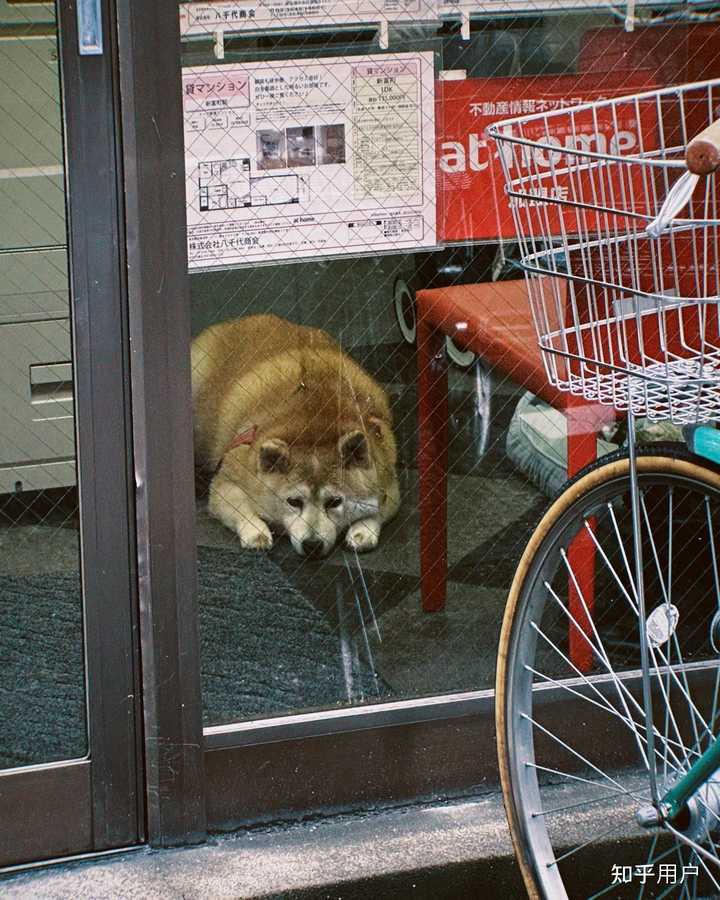 是上学苦还是上班苦？