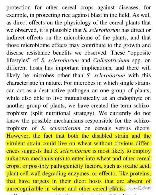 研究生们刚开始看英文文献是怎么看的？