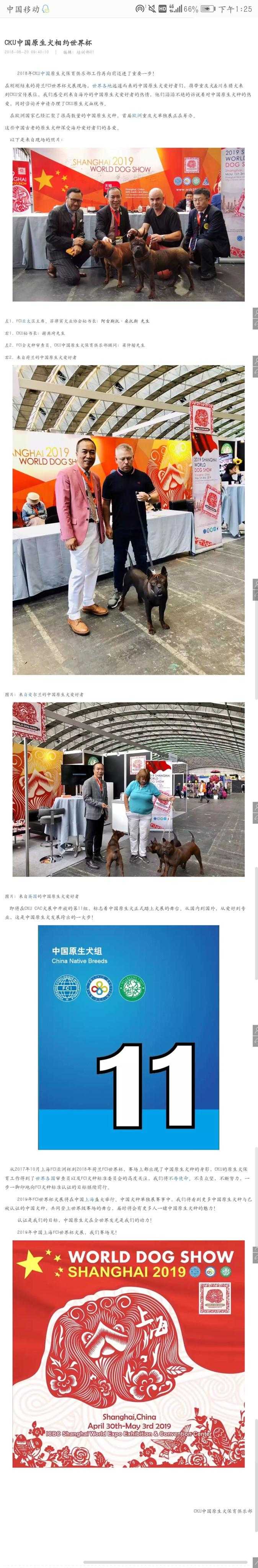 土松犬 土松犬的优缺点 白色土松犬