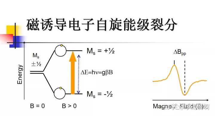 电子顺磁共振 又称电子自旋共振 的原理是什么 在哪本书的哪一章节有解释 知乎 电子顺磁共振 又称电子自旋共振 的原理是什么 在哪本书的哪一章节有解释 知乎