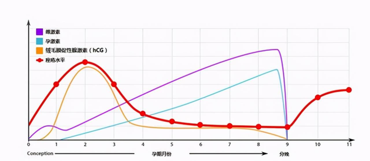 怀孕时，腹部那条神秘“黑线”是什么？ 知乎