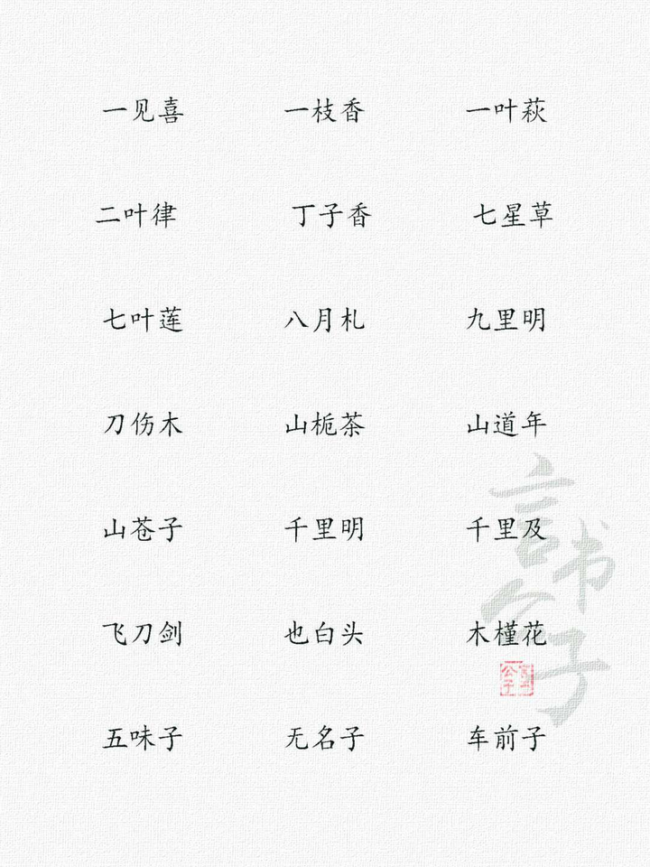 小众冷门高级网名 小众冷门高级网名