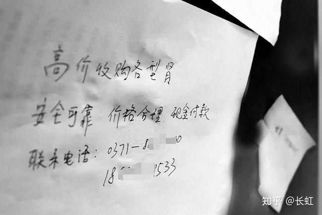 https://pica.zhimg.com/50/v2-e7ae2db0a73491ccf83182b253b26483_720w.jpg?source=2c26e567